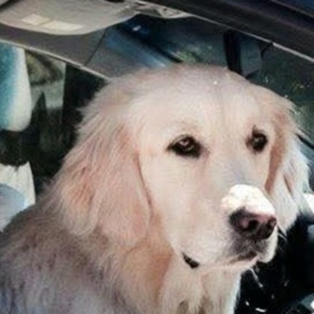 Sorry This Beauty Annie Is Not For Sale. #ohno_olivia On Poshmark Painting Her.